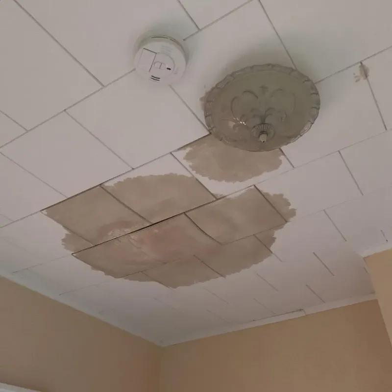 Ceiling Water Damage Repair in Ellendale, ND