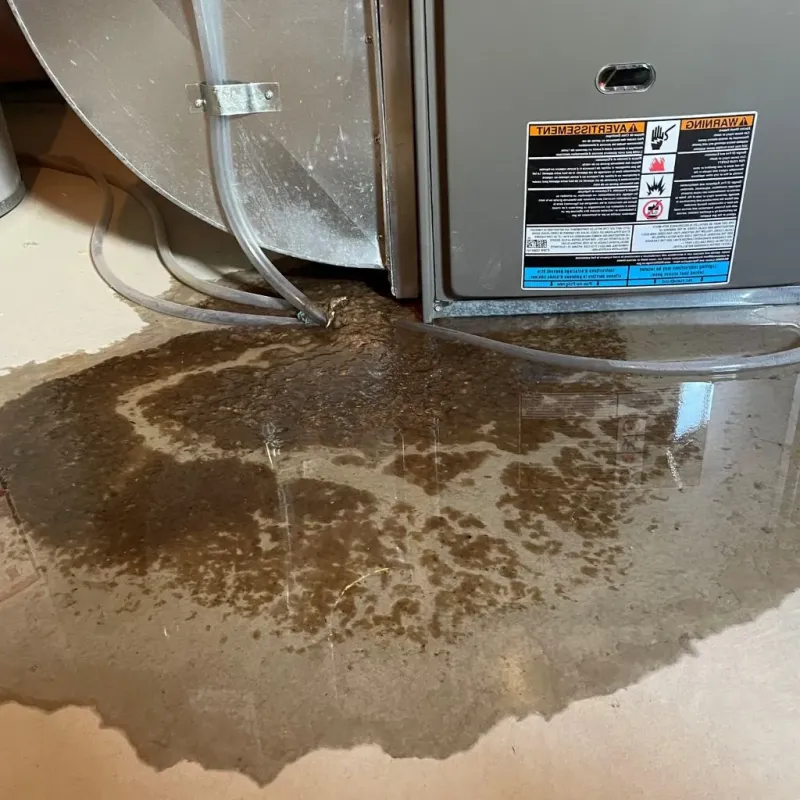 Pipe Burst and Leak Restoration in Ellendale, ND