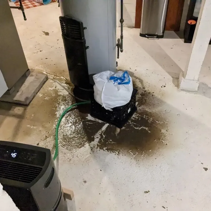 Sewage Backup Cleanup Service in Ellendale, ND